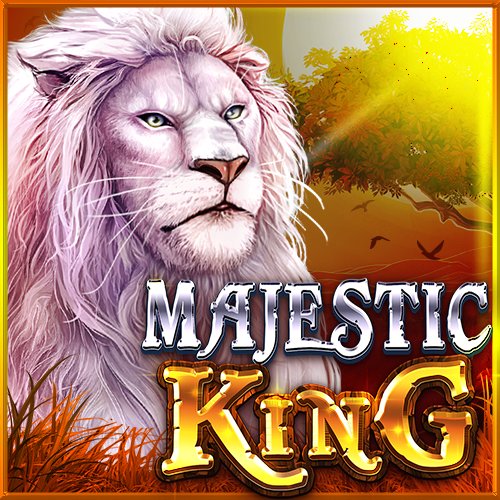 k55bet com