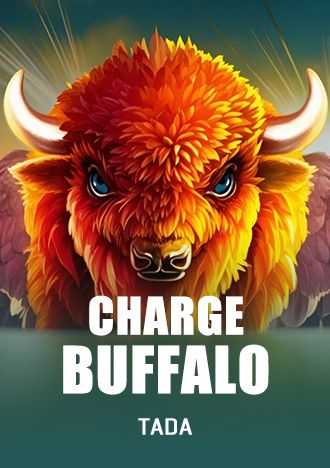 bet317