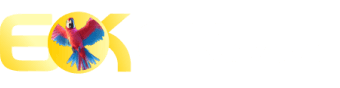360bet - In2bet
